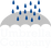 Umbrella Company